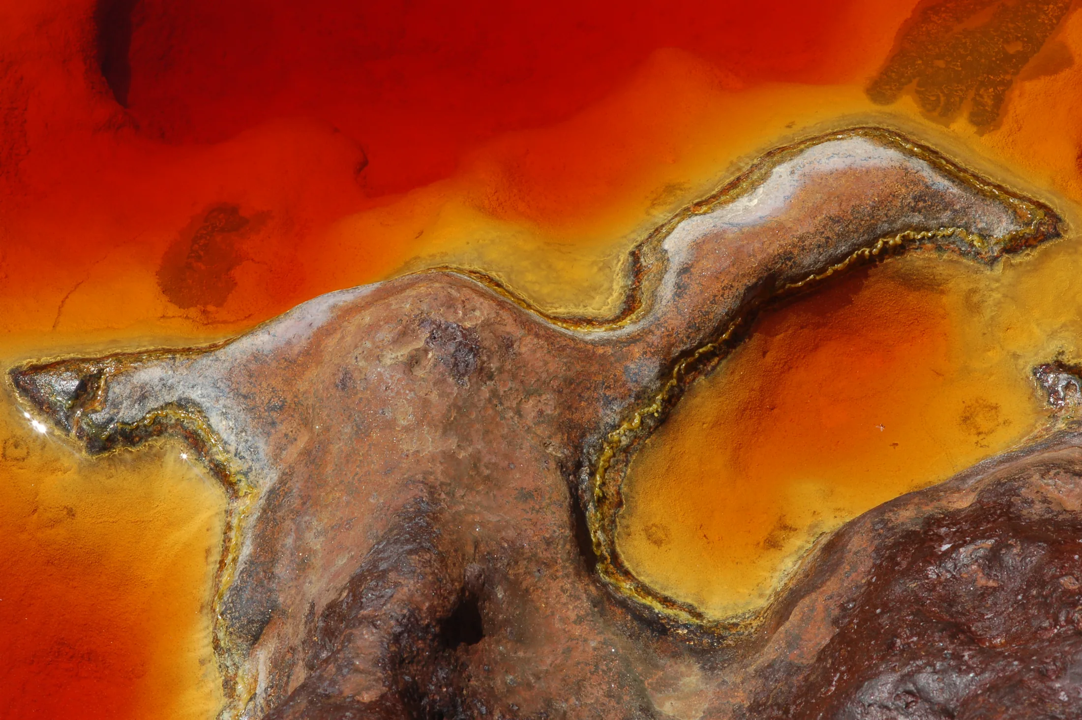 minerlienwasser 1